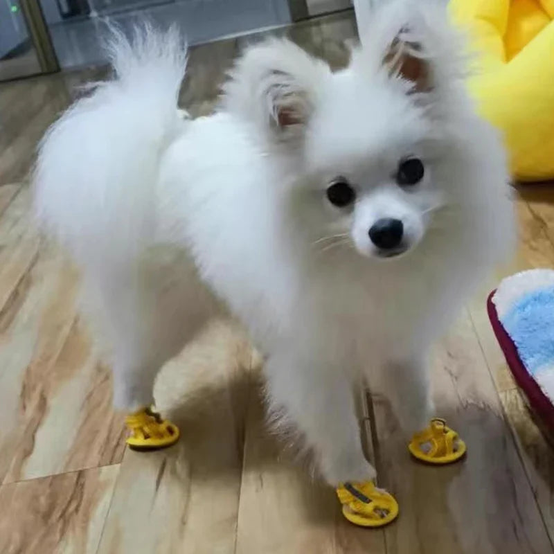 4pcs Summer Mesh Pet Sandals Shoes for Small - MyPetDollar.com
