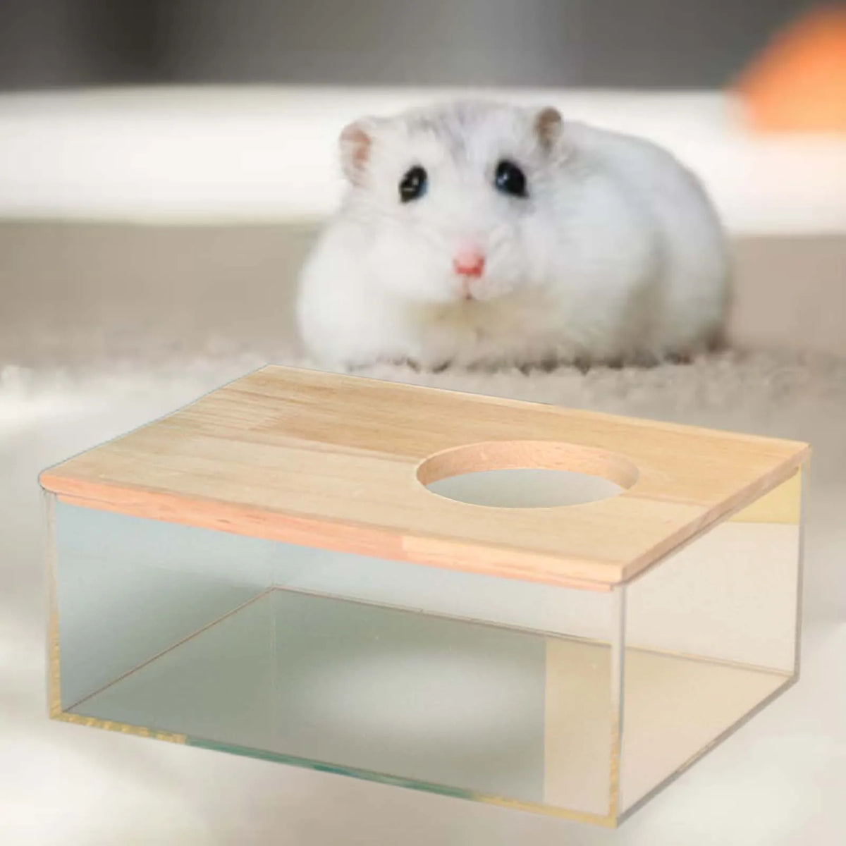 Hamster Bathroom House Clear Hamster Sand - MyPetDollar.com
