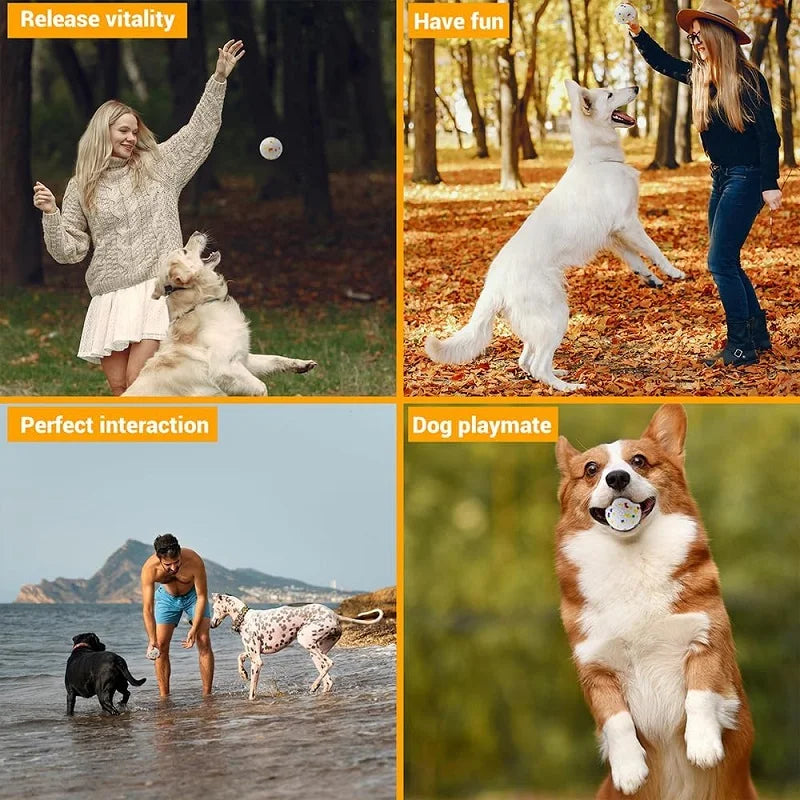 Dog Toy Ball Solid Bite Resistant Small - MyPetDollar.com