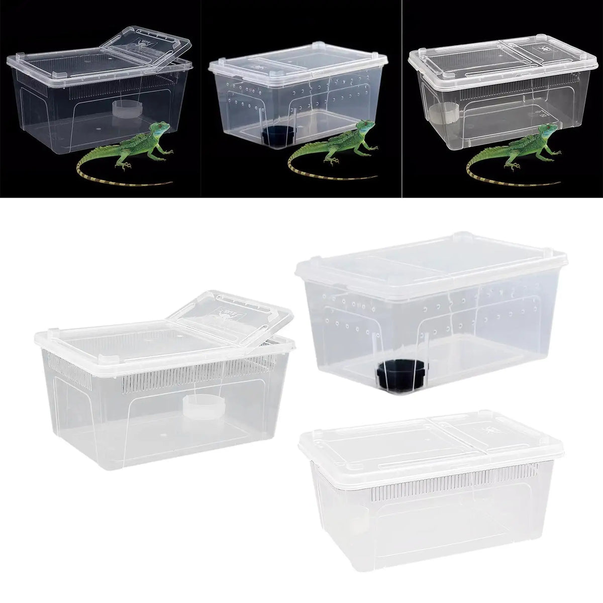 Clear Terrarium Habitat Breeding Box Turtle - MyPetDollar.com
