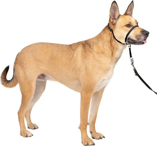 Gentle Leader Headcollar No-Pull Dog Collar - MyPetDollar.com