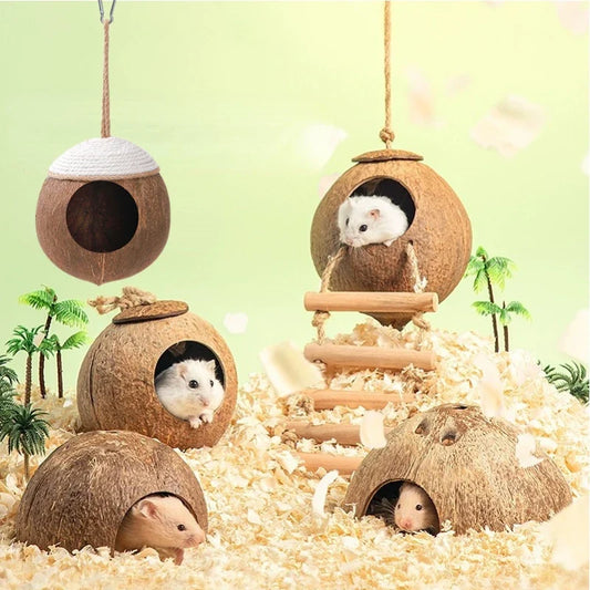 Hamster House Bite-resistant Natural Small - MyPetDollar.com