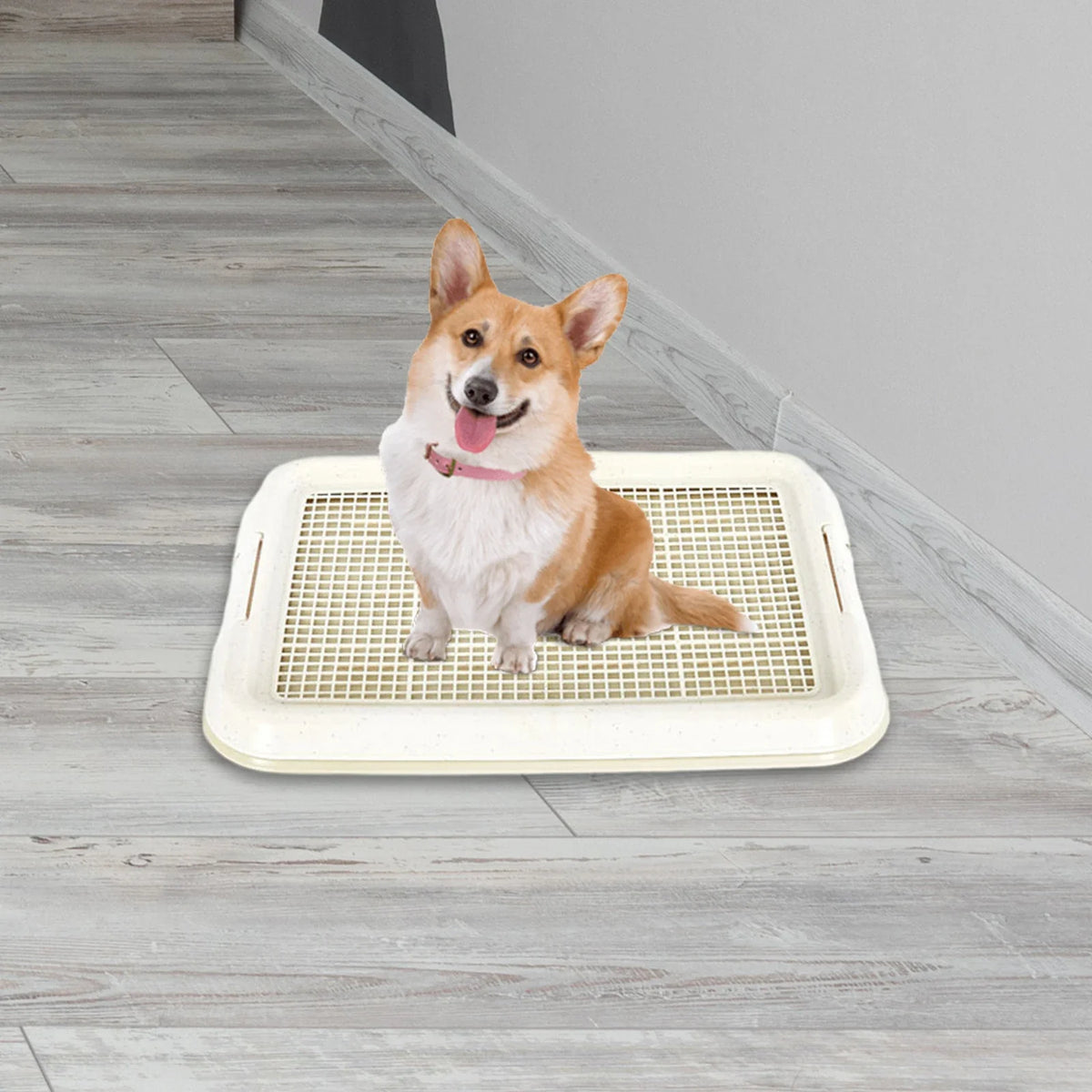 Dog Toilet Anti Slip Removable Mesh Potty - MyPetDollar.com