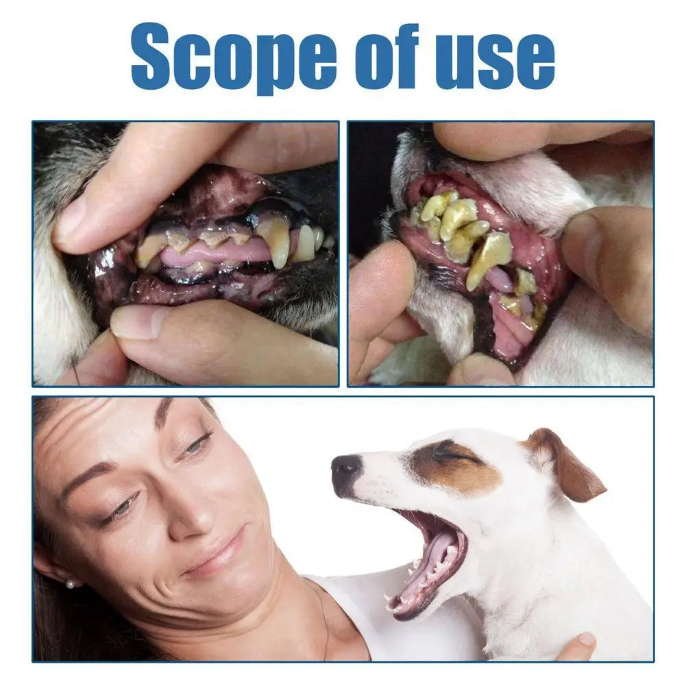 60ml $YEGBONG Pet Oral Cleaning Foam Mild - MyPetDollar.com