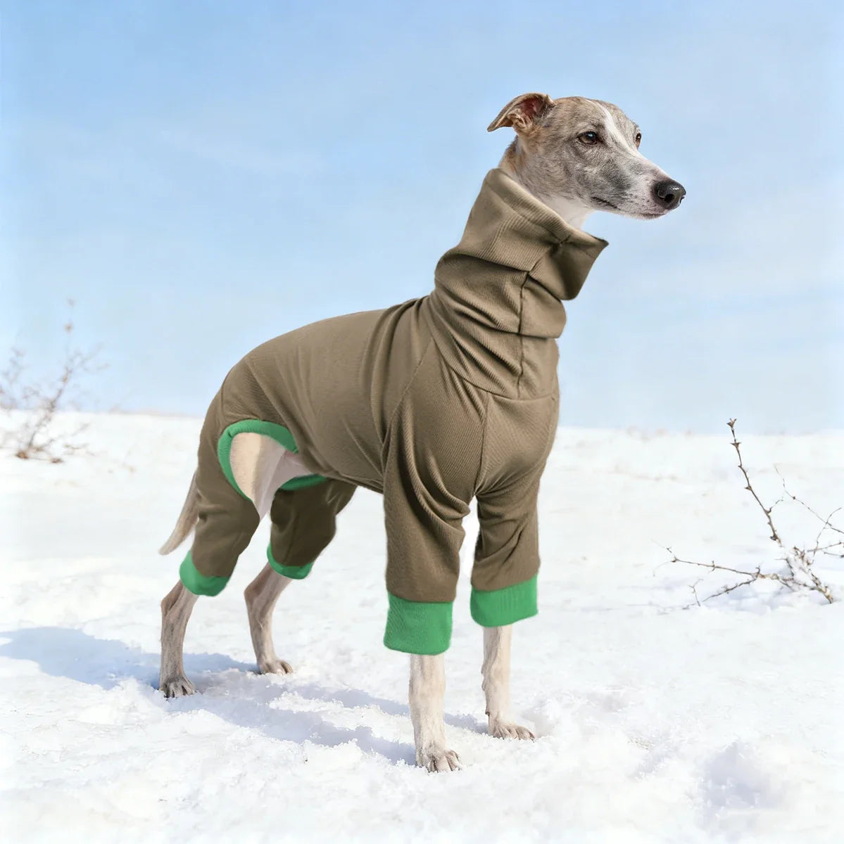 Turtleneck Dog Jumpsuit Soft Ribbed Knit Dog - MyPetDollar.com