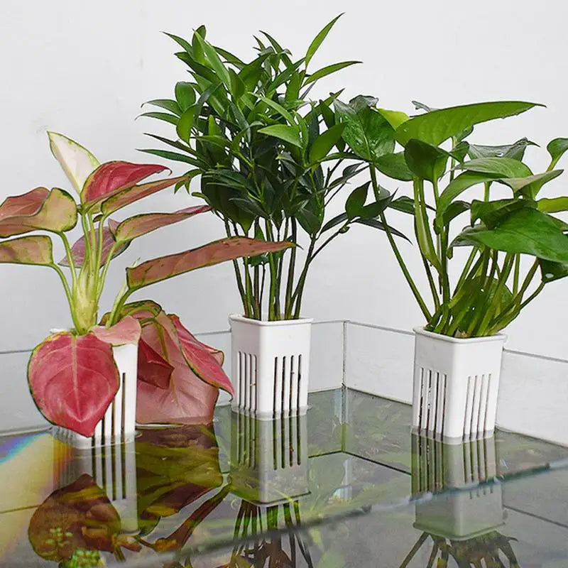 Aquarium Plant Holder Aquatic Plant Cup Top - MyPetDollar.com