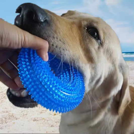 Durable Squeaky Tpr Dog Chew Toy With Spiky - MyPetDollar.com