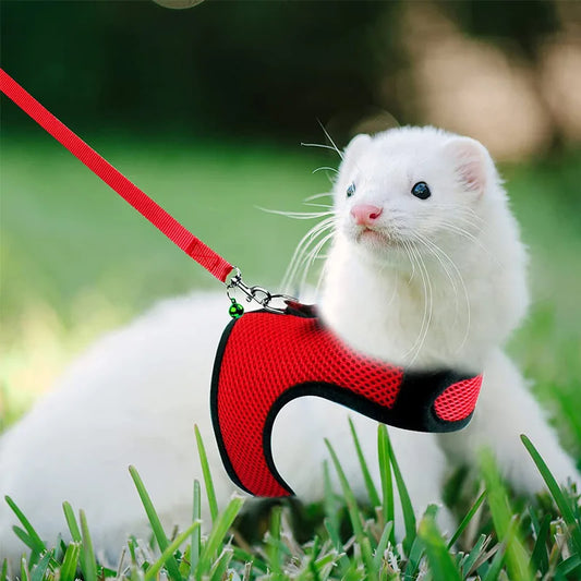 Mesh Breathable Ferret Bunny Harness Leash - MyPetDollar.com