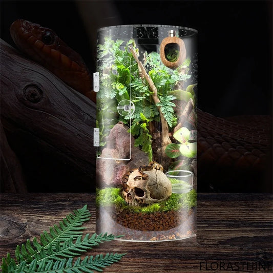 Jumping Spider Cylindrical Enclosure Front - MyPetDollar.com
