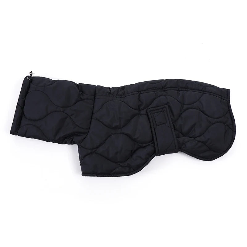 Winter Dog Outer Black Quilted Turtle Collar - MyPetDollar.com