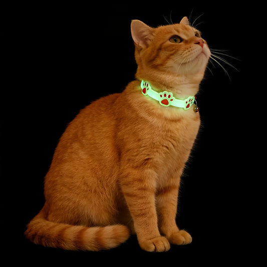 2pcs Glow-In-The-Dark Pet Collar - MyPetDollar.com