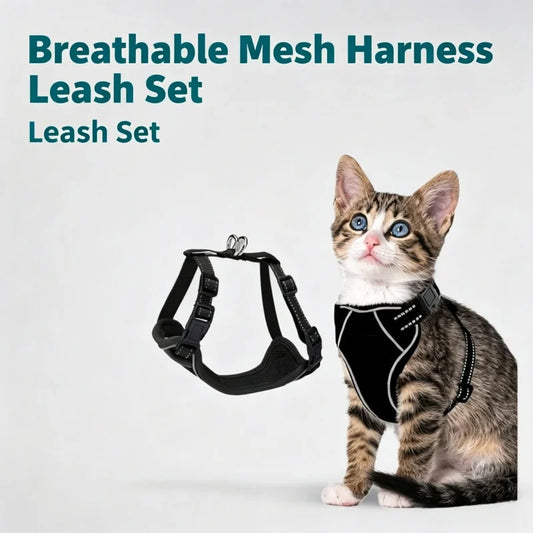 Small Animal Pet Supplies, Cat Harness, - MyPetDollar.com
