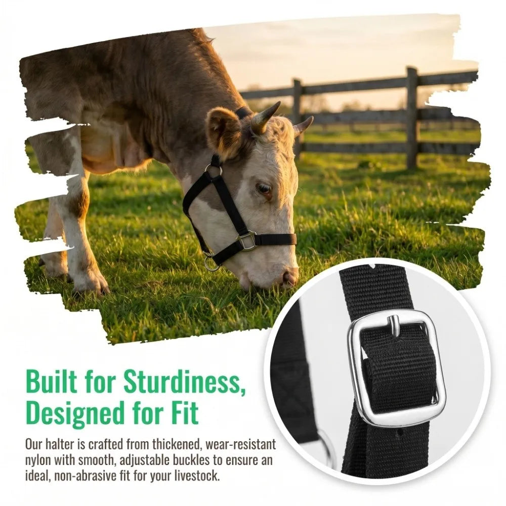 Adjustable Cow Halter with Lead Nylon - MyPetDollar.com