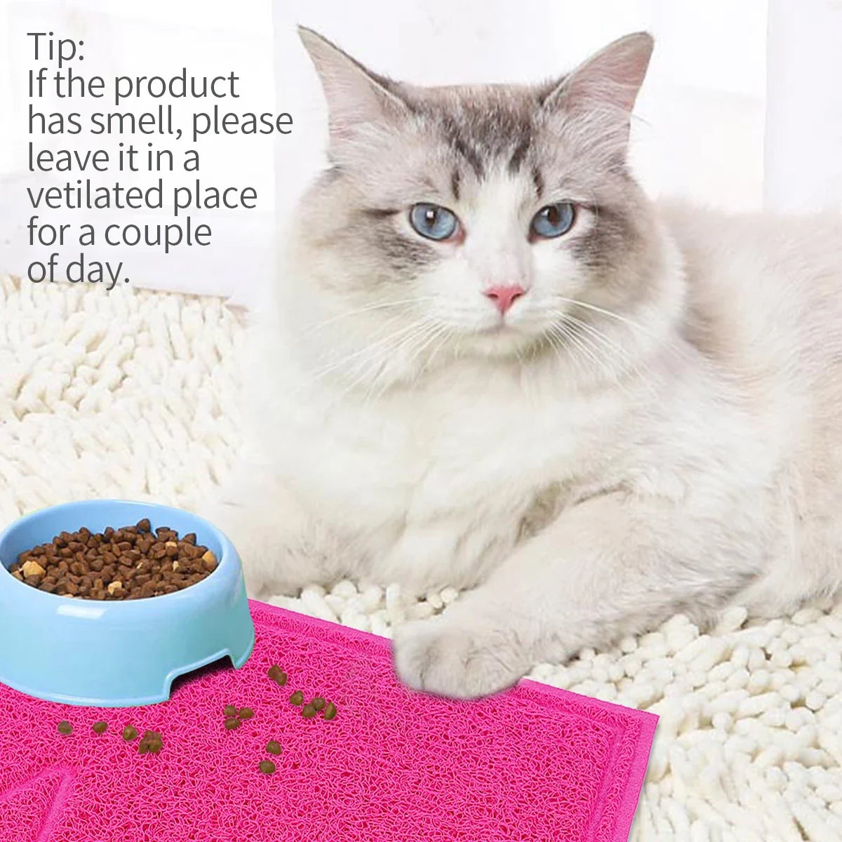 A pet mat cat litter mat cat foot rubbing - MyPetDollar.com