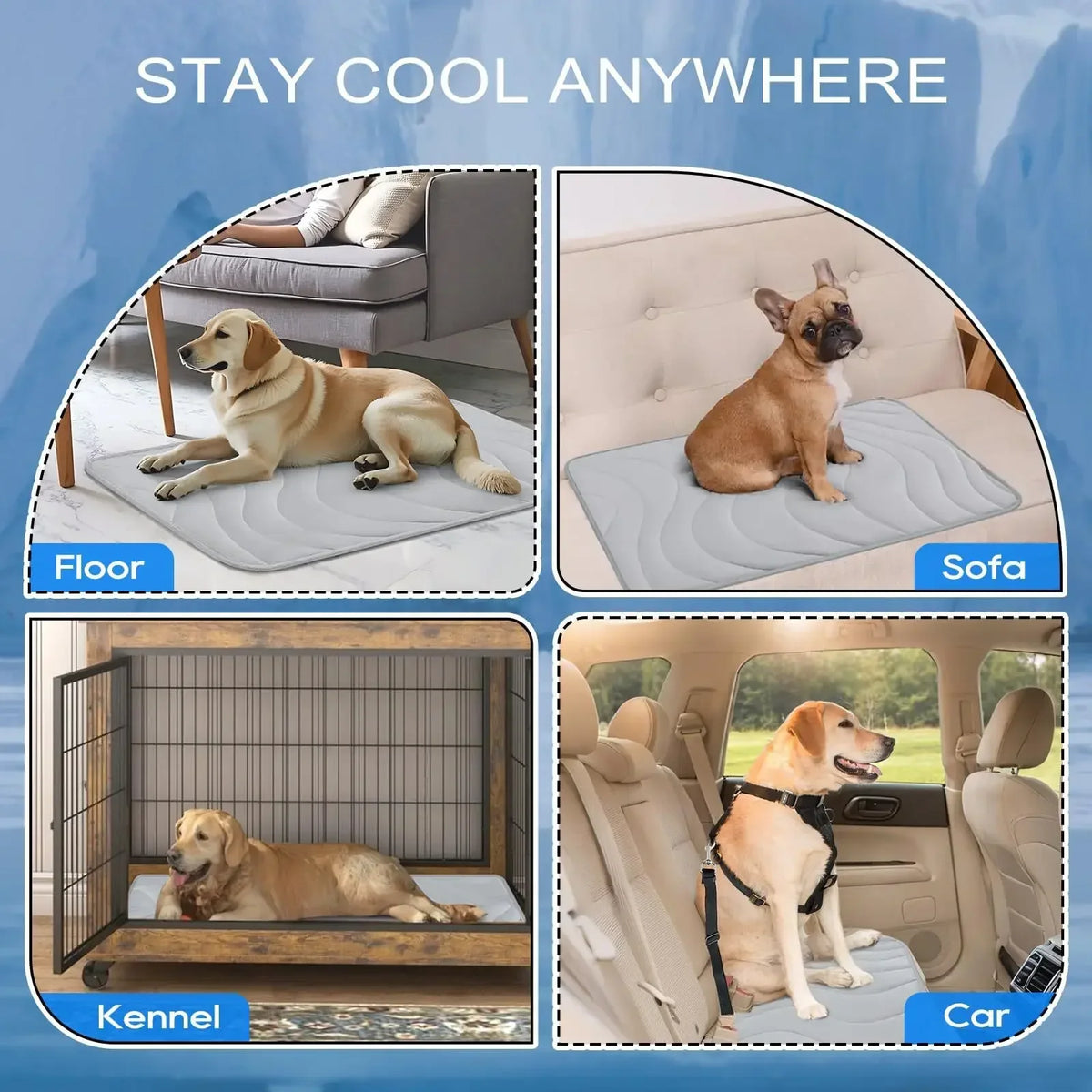 Double-Sided Gentle Wear Resistant Pet Ice - MyPetDollar.com