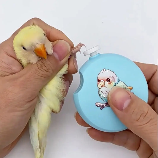 With 6 Grinding Heads Electric Parrot Nail - MyPetDollar.com