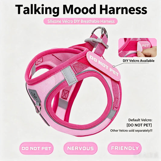 Dog Harness and Leash Set, Small Dog - MyPetDollar.com