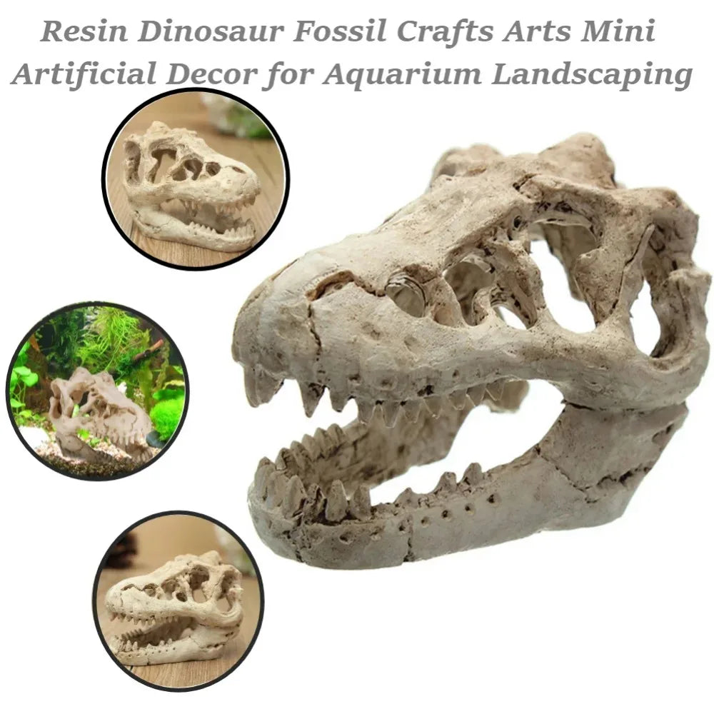 Dinosaur Fossil Model Fish Tank Aquarium - MyPetDollar.com