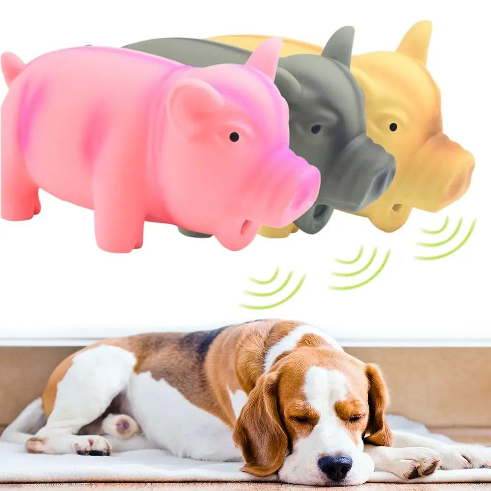 1PC Cute Rubber Sound Pig Grunting Squeak - MyPetDollar.com