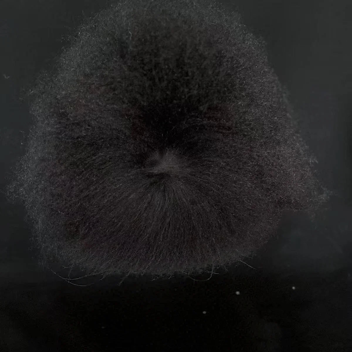 Pet Grooming Teddy Pet Simulated Head - MyPetDollar.com