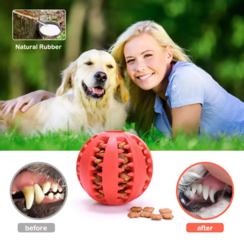 Interactive Silicone Rubber Ball for Dogs - MyPetDollar.com