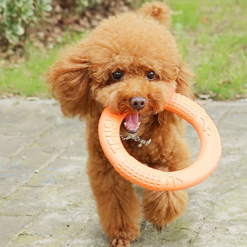 1pc Orange Dog Toys Pet Flying Disk Training - MyPetDollar.com