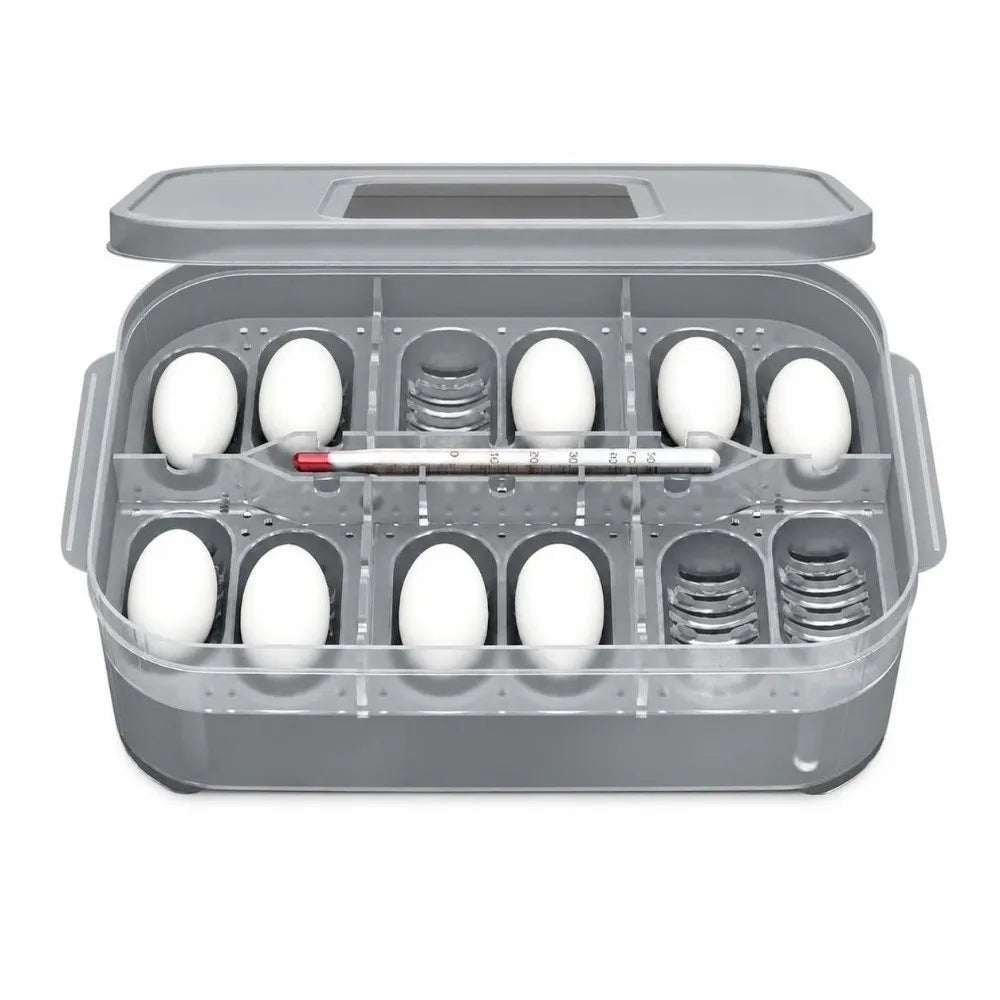 ABS Reptile Egg Incubator With Thermometer - MyPetDollar.com