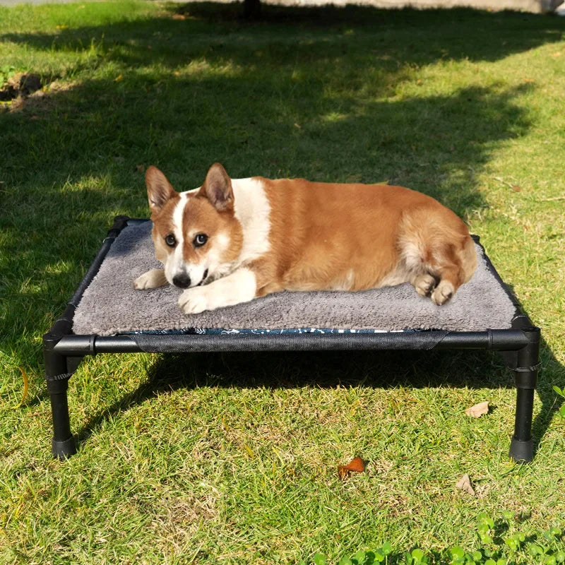 CLS Pet Camping Cot for Small Medium Dogs – - MyPetDollar.com