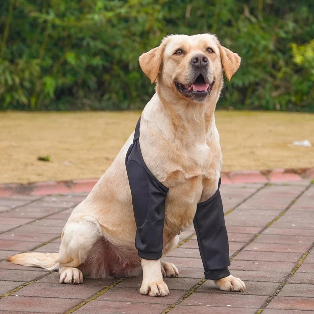 Dog Puppy Elbow Brace Protector Pet Soft - MyPetDollar.com