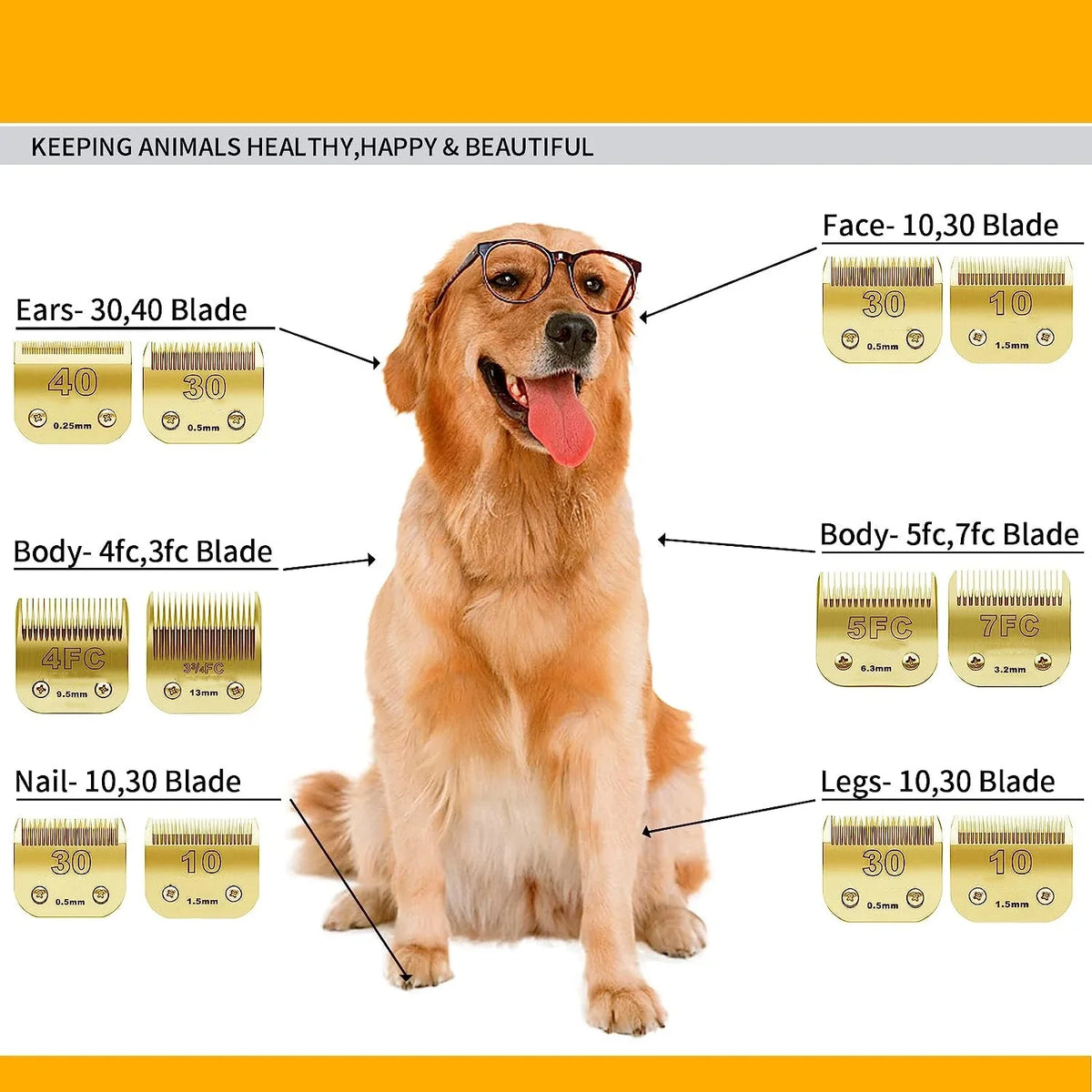 4F/5F/7F/10/15 Detachable Pet Electric Shear - MyPetDollar.com