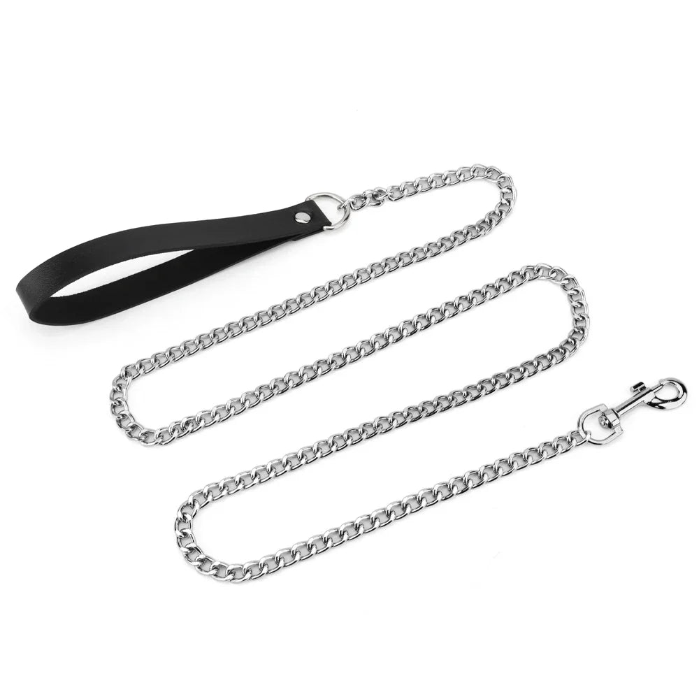 Leather Dog Lead