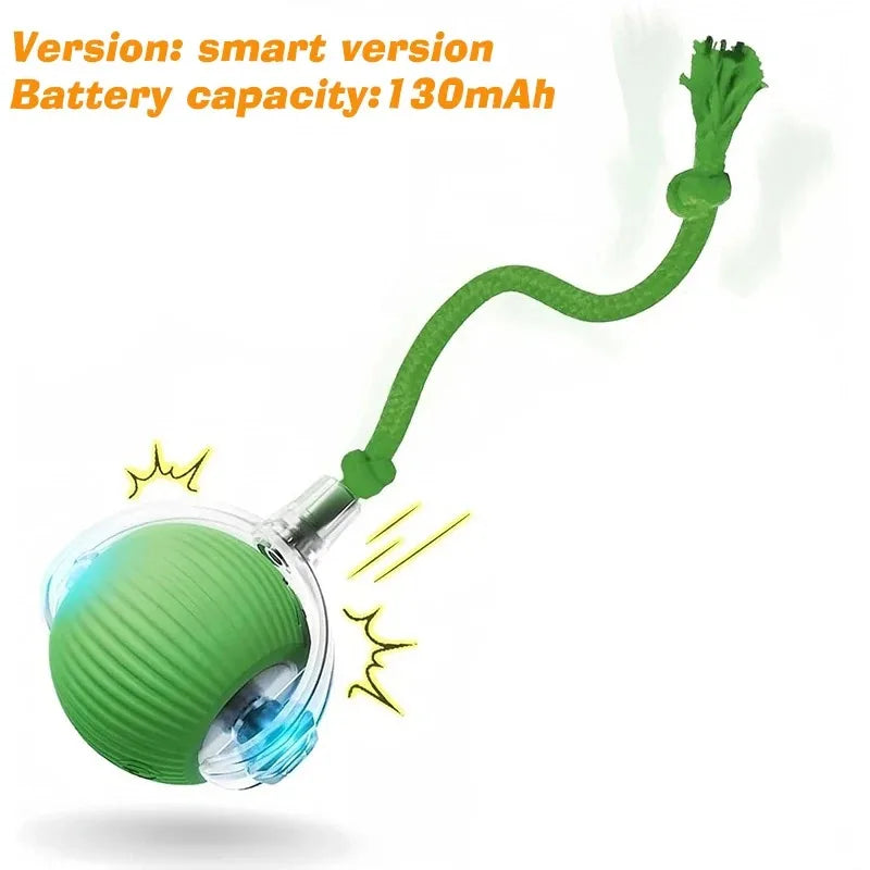 Dog Interactive Ball Toy Automatic Rolling - MyPetDollar.com