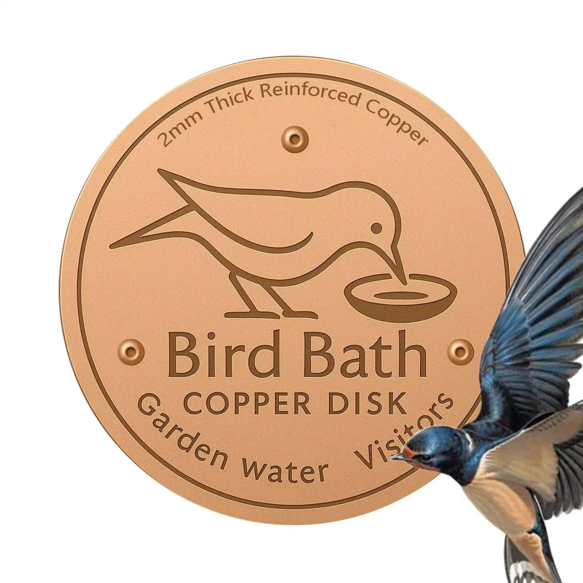 10CM Bird Bath Copper Disk Purification Tray - MyPetDollar.com