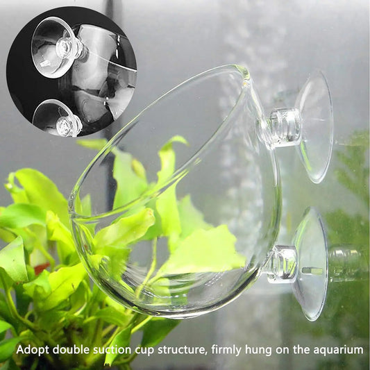 Aquarium Plant Holder Glass Aquatic Plant - MyPetDollar.com