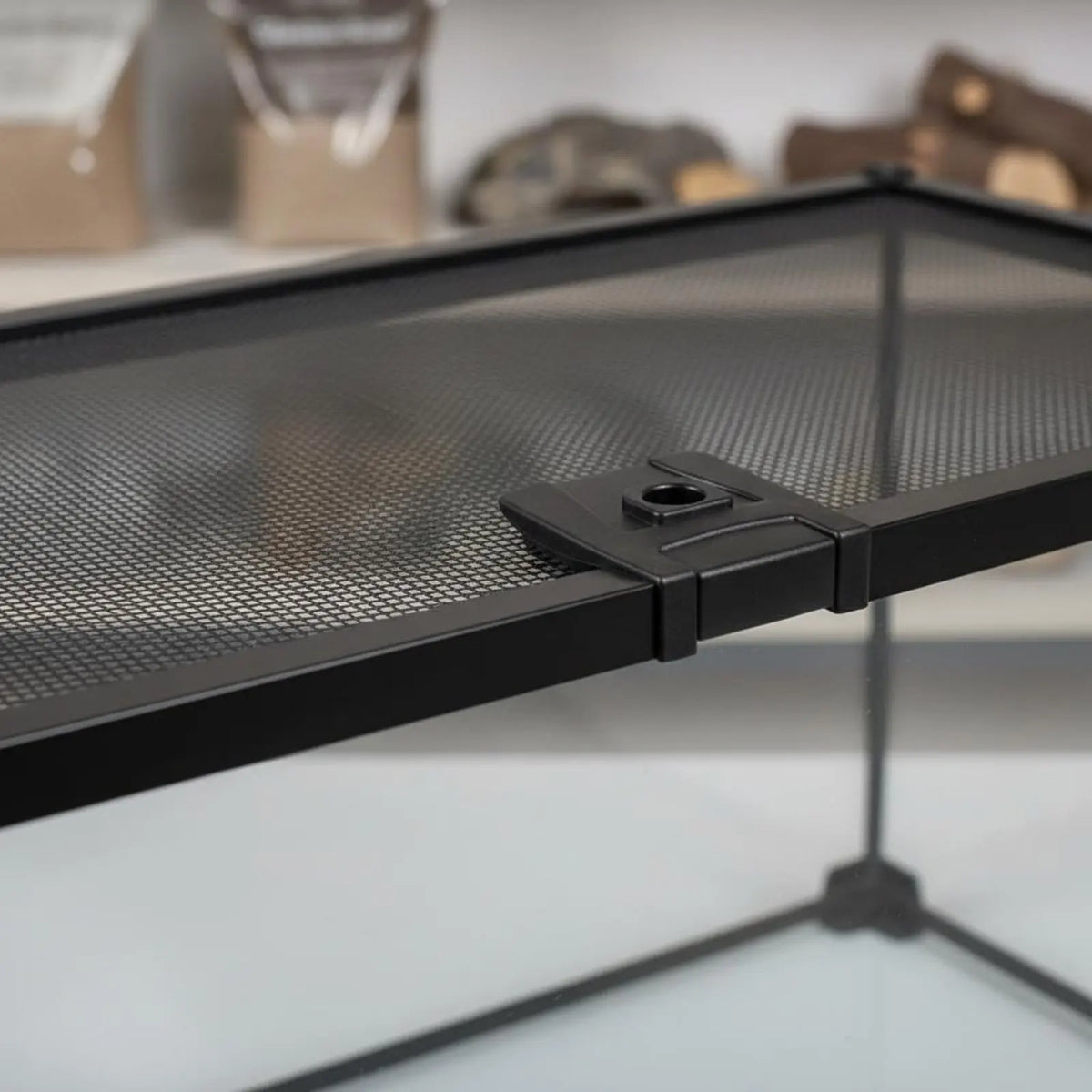 Glass Amphibian Terrarium Anti-Security - MyPetDollar.com