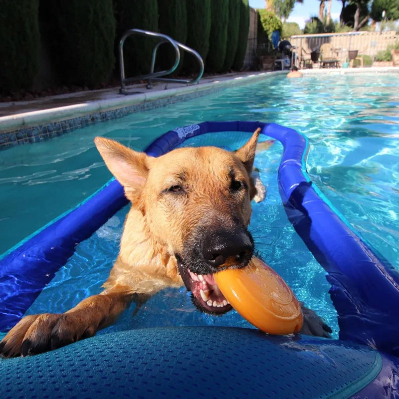 CAITEC Dog Toys Squeaking Foraging Disc - MyPetDollar.com