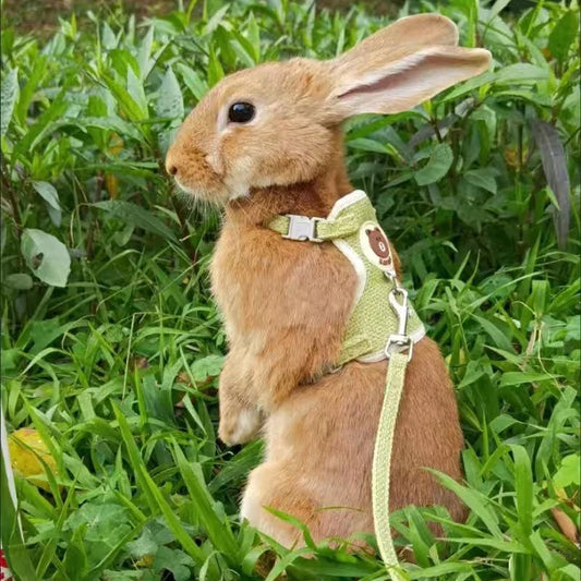 Newest Cute Rabbit Harness and Leash Set - MyPetDollar.com