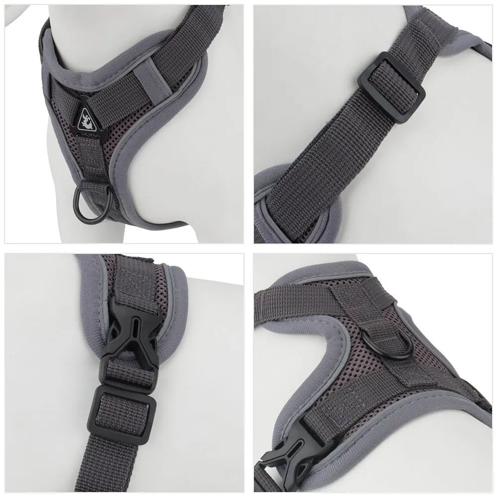 Reflective Dog Harness Leashes Set Puppy - MyPetDollar.com