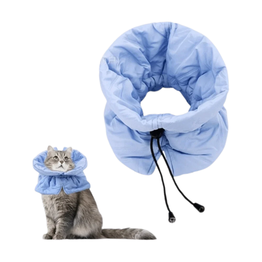 Cute Pet Collar Adjustable Comfortable Cat - MyPetDollar.com
