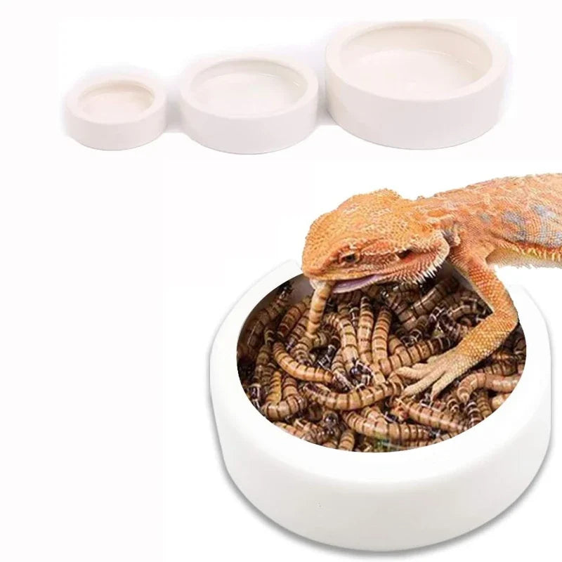 Reptile Water Food Bowl Anti-Escape Ceramic - MyPetDollar.com