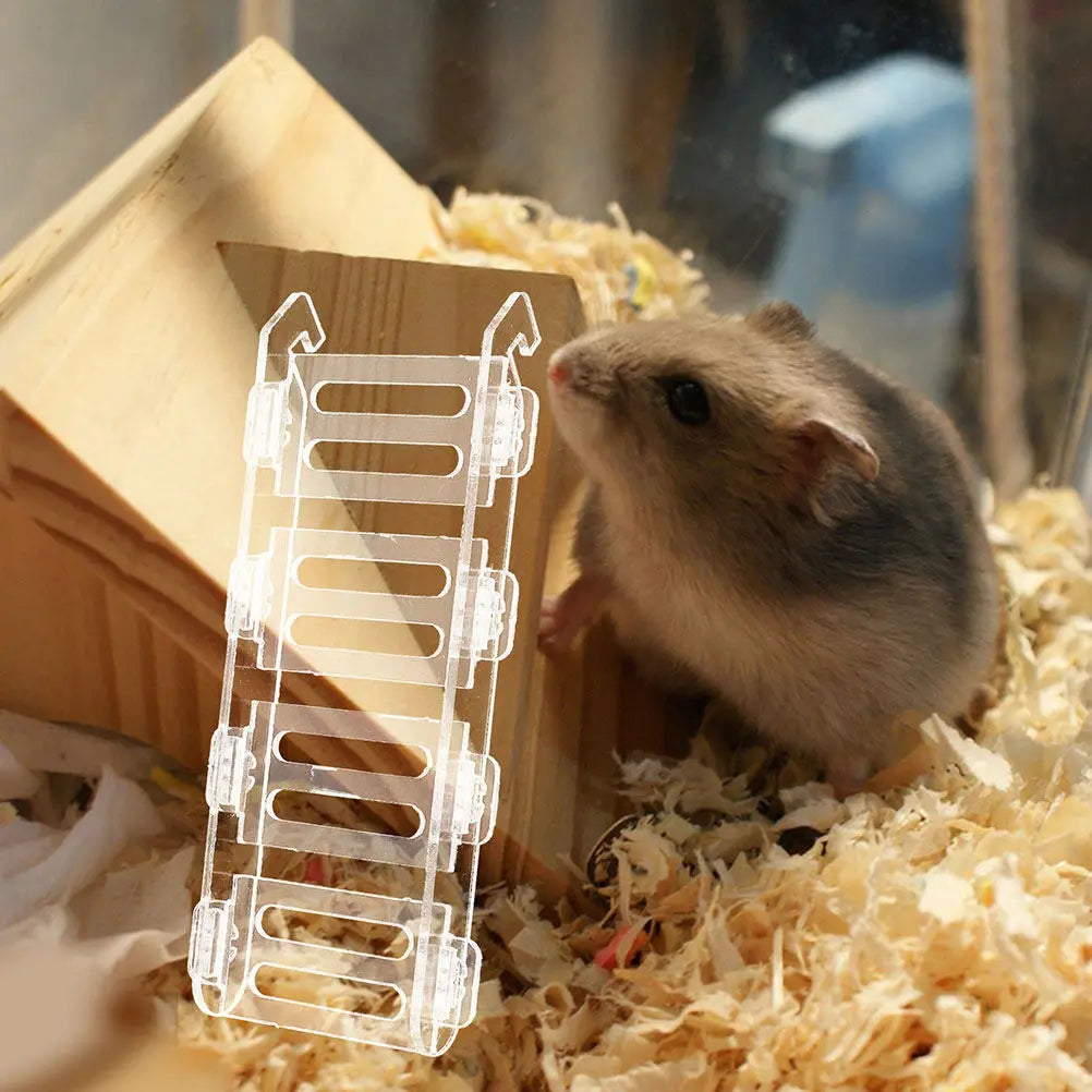 Hamster Ladder Transparent Acrylic Climbing - MyPetDollar.com
