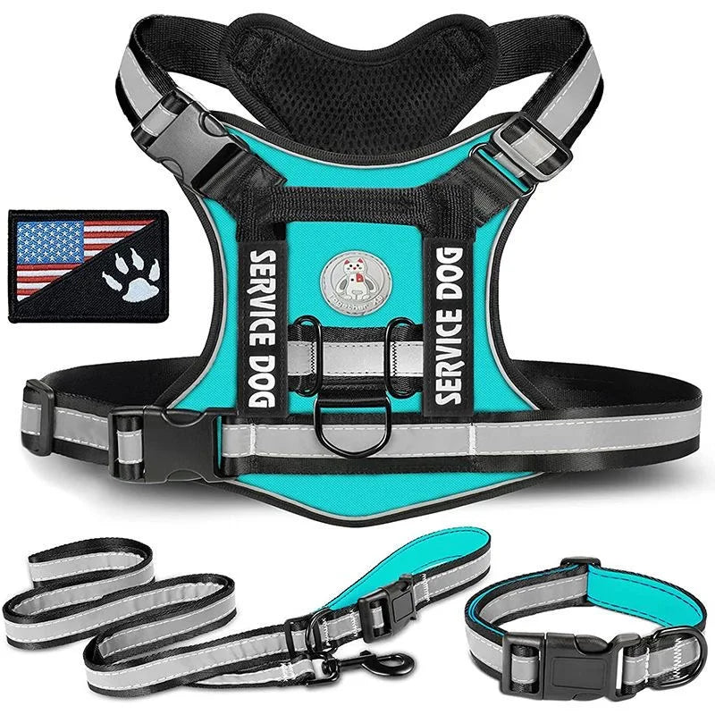 Doberman Dog Harness Collar Leash Set - MyPetDollar.com