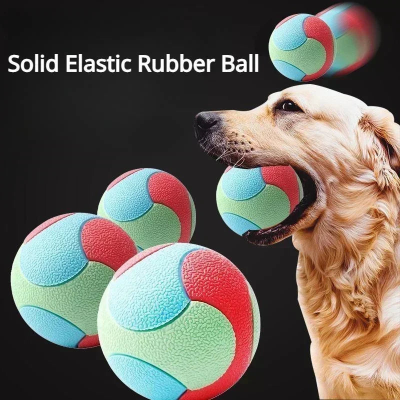 Solid Rubber Dog Balls for Dogs Virtually - MyPetDollar.com