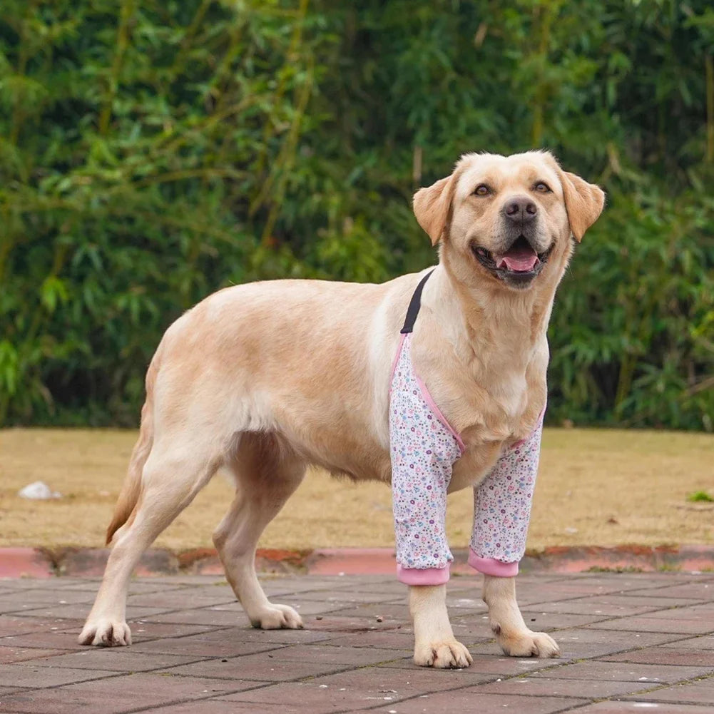 Dog Puppy Elbow Brace Protector Pet Soft - MyPetDollar.com