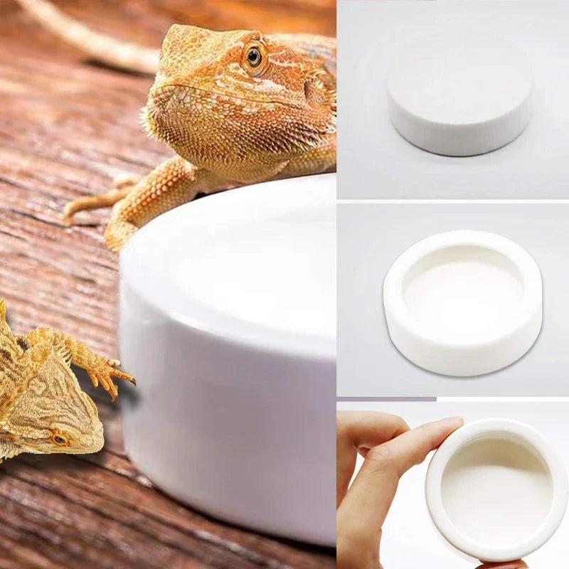 Reptile Water Food Bowl Anti-Escape Ceramic - MyPetDollar.com