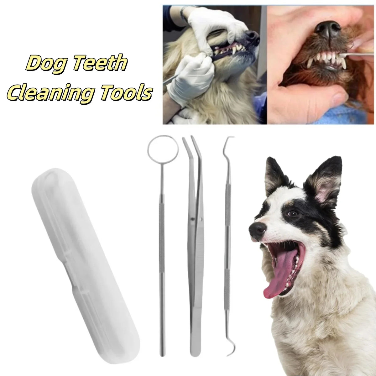 Stainless Steel Pet Tooth Cleaning Tool Safe - MyPetDollar.com