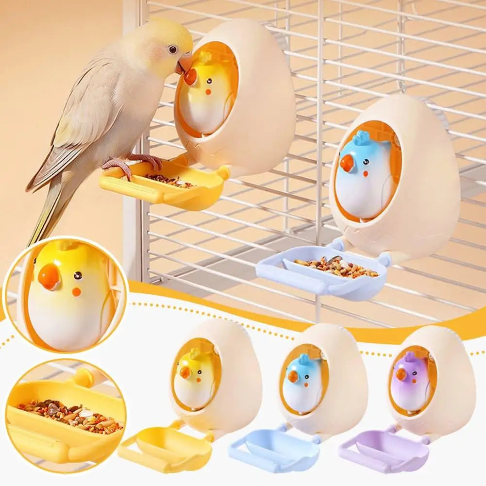 Creativity Parrot Eggshell Toy - MyPetDollar.com