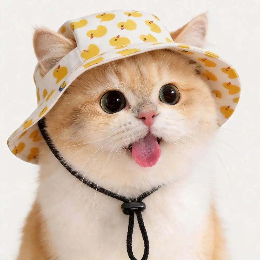Cute Print Cat Hat for Small Medium Cats - MyPetDollar.com