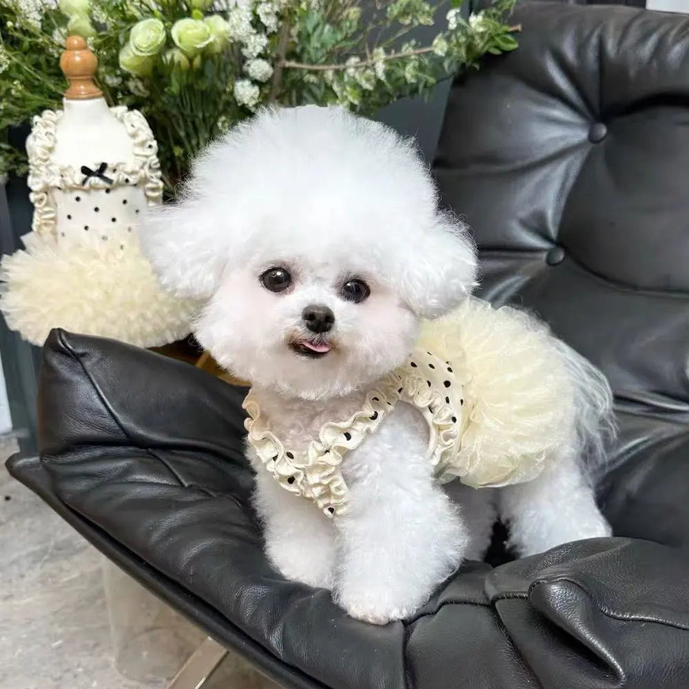 lightweight Thin Pet Dog Summer Dress Polka - MyPetDollar.com