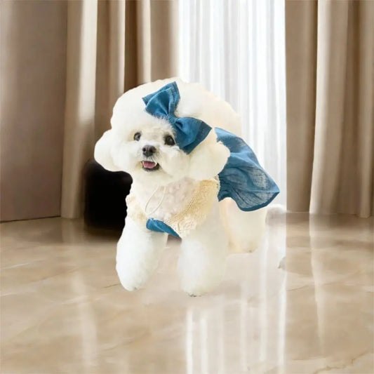 Pet Supplies Lace Pet Lace Denim Dress - MyPetDollar.com